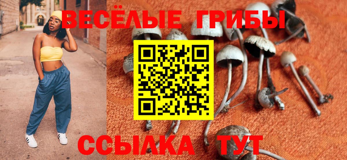 Галлюциногенные грибы прущие грибы Москва